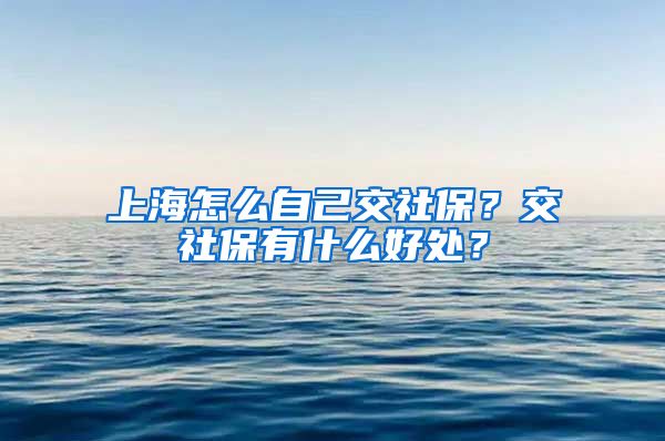 上海怎么自己交社保？交社保有什么好处？