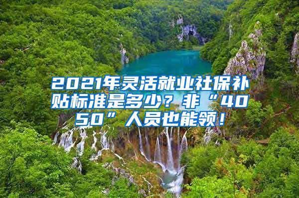 2021年灵活就业社保补贴标准是多少？非“4050”人员也能领！