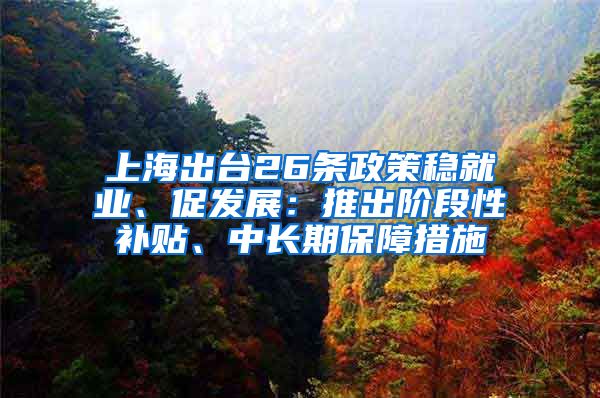 上海出台26条政策稳就业、促发展：推出阶段性补贴、中长期保障措施