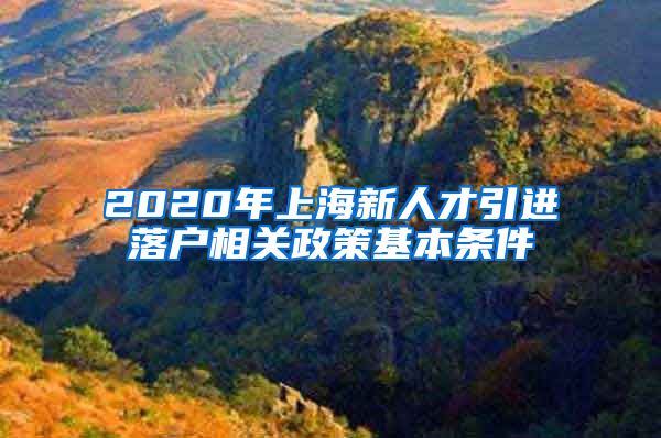 2020年上海新人才引进落户相关政策基本条件