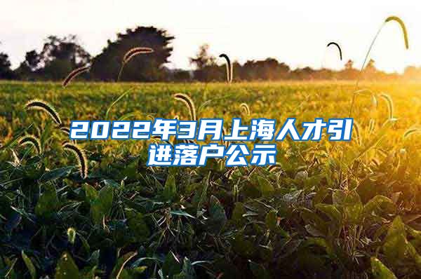 2022年3月上海人才引进落户公示