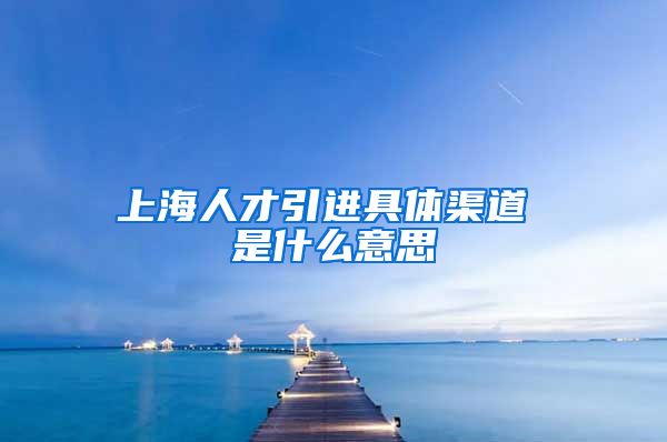 上海人才引进具体渠道 是什么意思