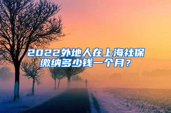 2022外地人在上海社保缴纳多少钱一个月？