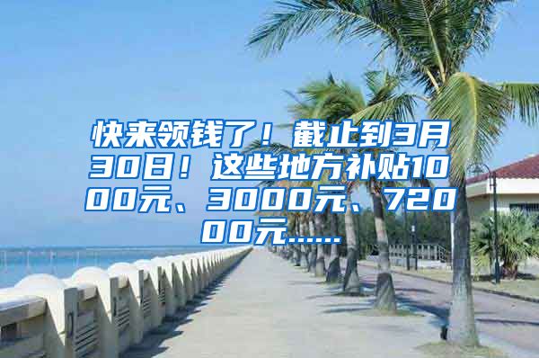 快来领钱了！截止到3月30日！这些地方补贴1000元、3000元、72000元......