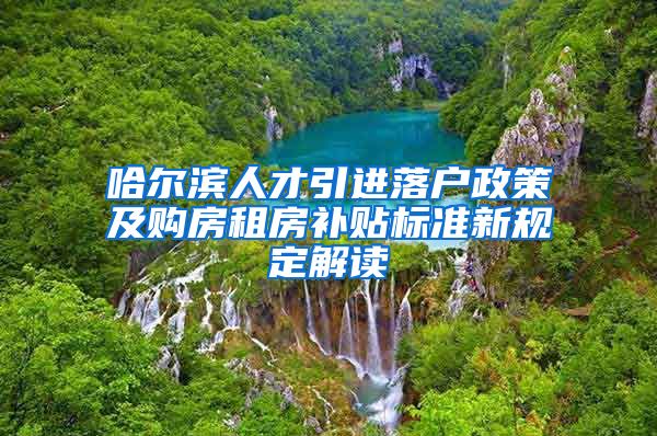 哈尔滨人才引进落户政策及购房租房补贴标准新规定解读