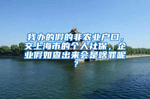 我办的假的非农业户口，交上海市的个人社保，企业假如查出来会是啥罪呢？