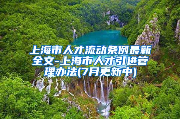 上海市人才流动条例最新全文-上海市人才引进管理办法(7月更新中)