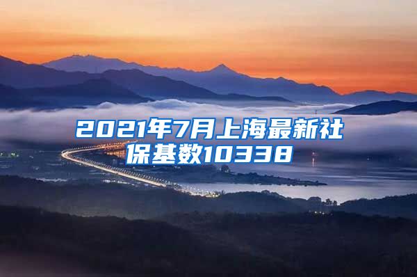 2021年7月上海最新社保基数10338