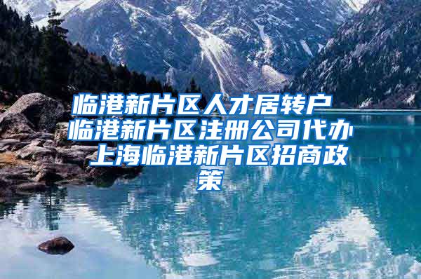 临港新片区人才居转户 临港新片区注册公司代办 上海临港新片区招商政策