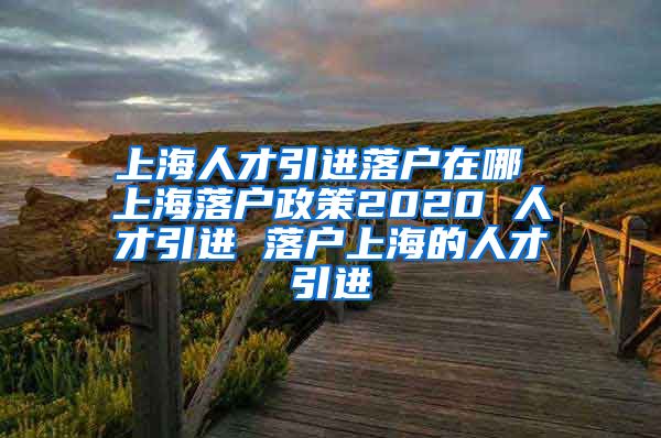 上海人才引进落户在哪 上海落户政策2020 人才引进 落户上海的人才引进