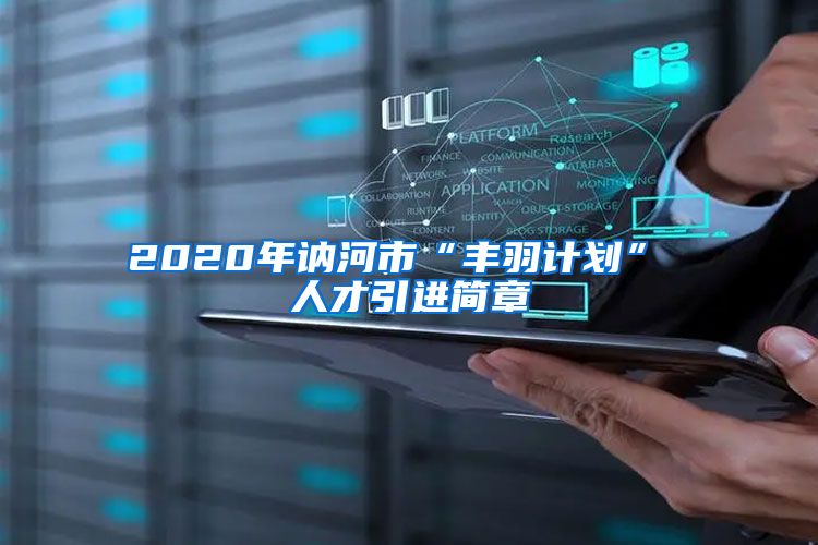 2020年讷河市“丰羽计划” 人才引进简章