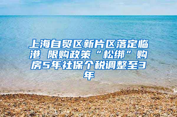 上海自贸区新片区落定临港 限购政策“松绑”购房5年社保个税调整至3年