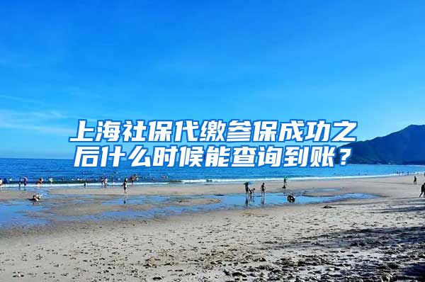 上海社保代缴参保成功之后什么时候能查询到账？