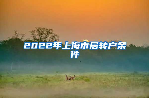 2022年上海市居转户条件