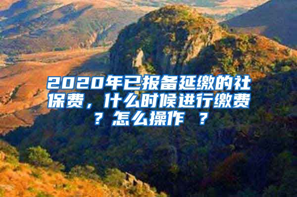 2020年已报备延缴的社保费，什么时候进行缴费？怎么操作 ？