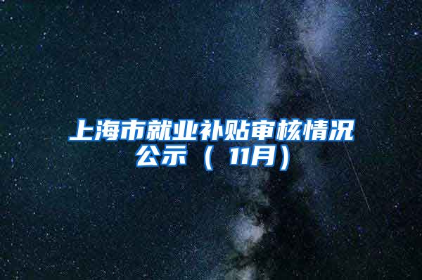 上海市就业补贴审核情况公示 ( 11月）