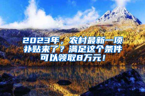 2023年，农村最新一项补贴来了？满足这个条件可以领取8万元！