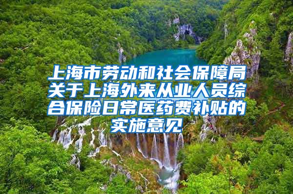 上海市劳动和社会保障局关于上海外来从业人员综合保险日常医药费补贴的实施意见