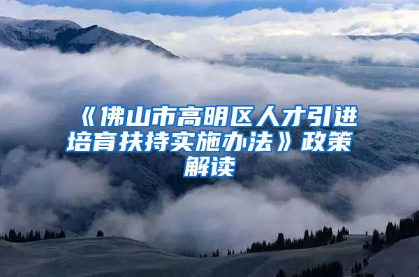 《佛山市高明区人才引进培育扶持实施办法》政策解读