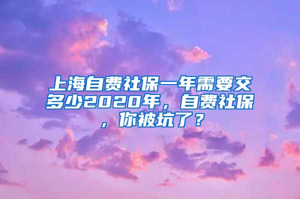 上海自费社保一年需要交多少2020年，自费社保，你被坑了？