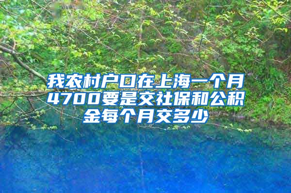 我农村户口在上海一个月4700要是交社保和公积金每个月交多少