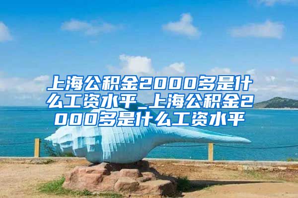 上海公积金2000多是什么工资水平_上海公积金2000多是什么工资水平