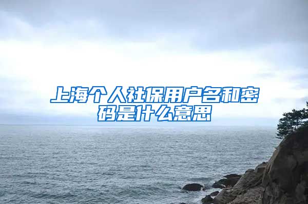 上海个人社保用户名和密码是什么意思