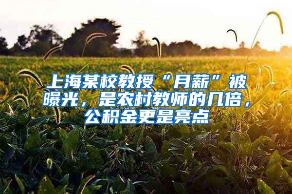 上海某校教授“月薪”被曝光，是农村教师的几倍，公积金更是亮点