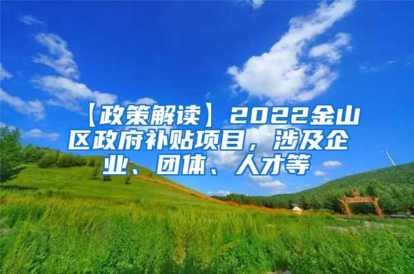 【政策解读】2022金山区政府补贴项目，涉及企业、团体、人才等