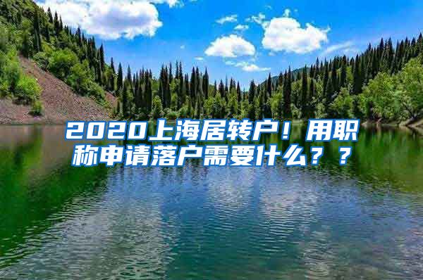 2020上海居转户！用职称申请落户需要什么？？