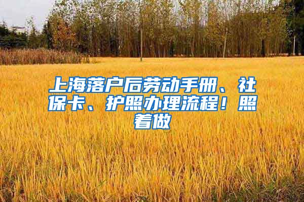 上海落户后劳动手册、社保卡、护照办理流程！照着做