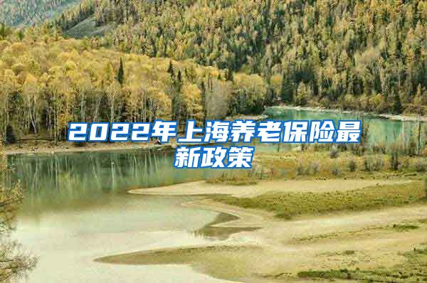 2022年上海养老保险最新政策