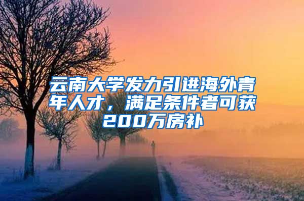 云南大学发力引进海外青年人才，满足条件者可获200万房补