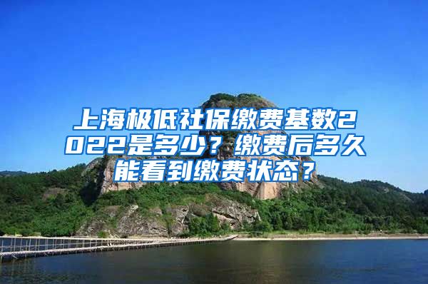 上海极低社保缴费基数2022是多少？缴费后多久能看到缴费状态？