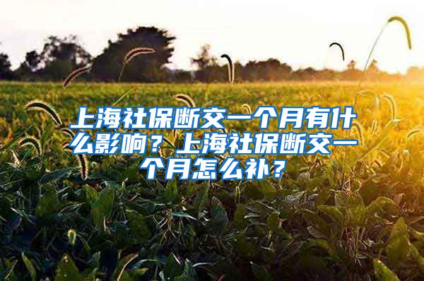 上海社保断交一个月有什么影响？上海社保断交一个月怎么补？