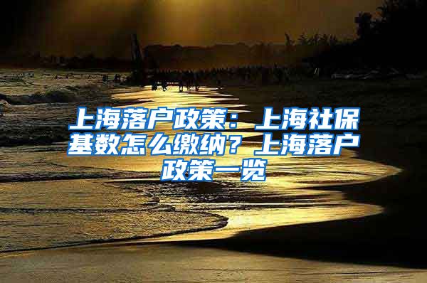 上海落户政策：上海社保基数怎么缴纳？上海落户政策一览