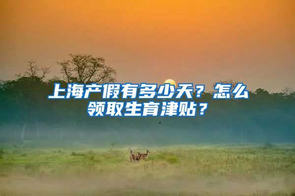 上海产假有多少天？怎么领取生育津贴？