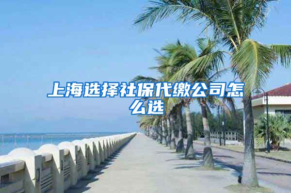 上海选择社保代缴公司怎么选