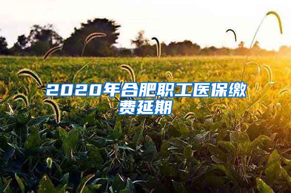 2020年合肥职工医保缴费延期