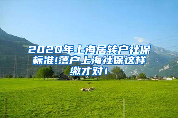 2020年上海居转户社保标准!落户上海社保这样缴才对！