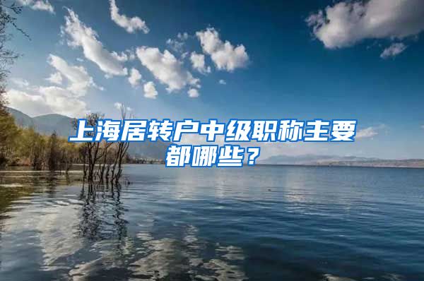 上海居转户中级职称主要都哪些？