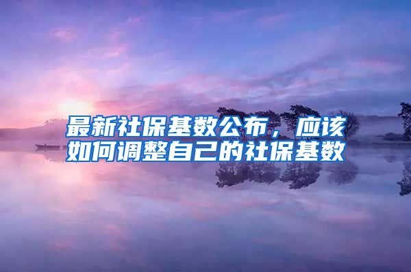 最新社保基数公布，应该如何调整自己的社保基数