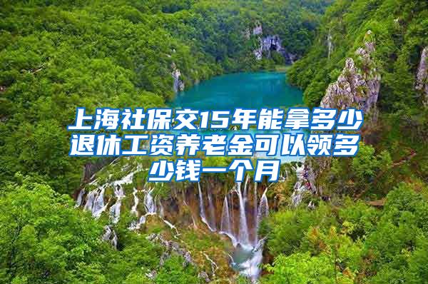 上海社保交15年能拿多少退休工资养老金可以领多少钱一个月