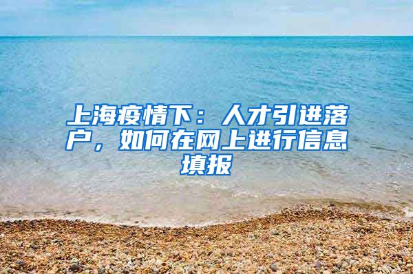 上海疫情下：人才引进落户，如何在网上进行信息填报