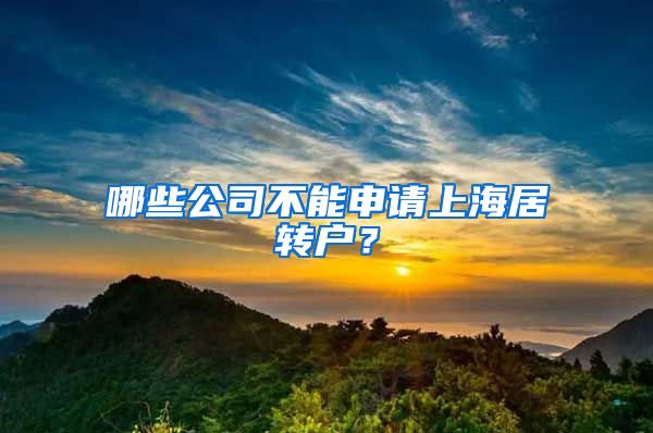 哪些公司不能申请上海居转户？