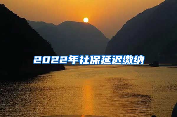 2022年社保延迟缴纳