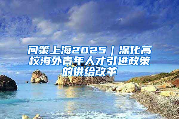 问策上海2025｜深化高校海外青年人才引进政策的供给改革