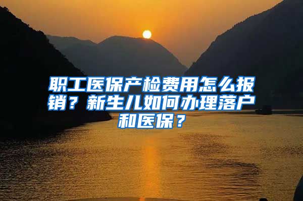 职工医保产检费用怎么报销？新生儿如何办理落户和医保？