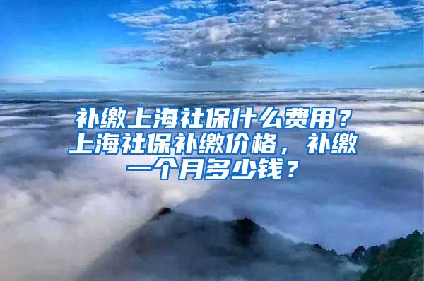 补缴上海社保什么费用？上海社保补缴价格，补缴一个月多少钱？