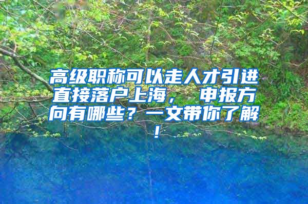 高级职称可以走人才引进直接落户上海， 申报方向有哪些？一文带你了解！